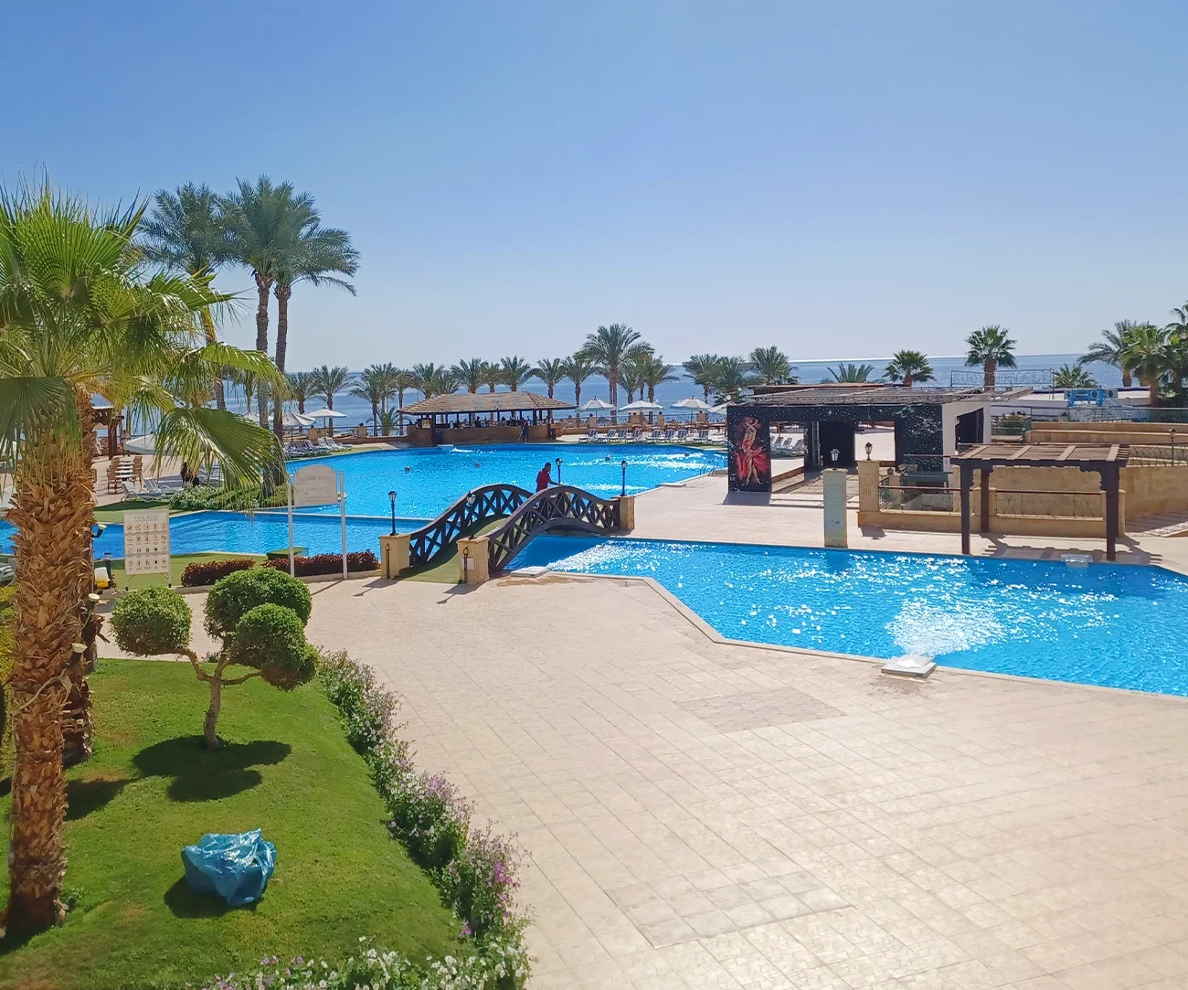 queen-sharm-1