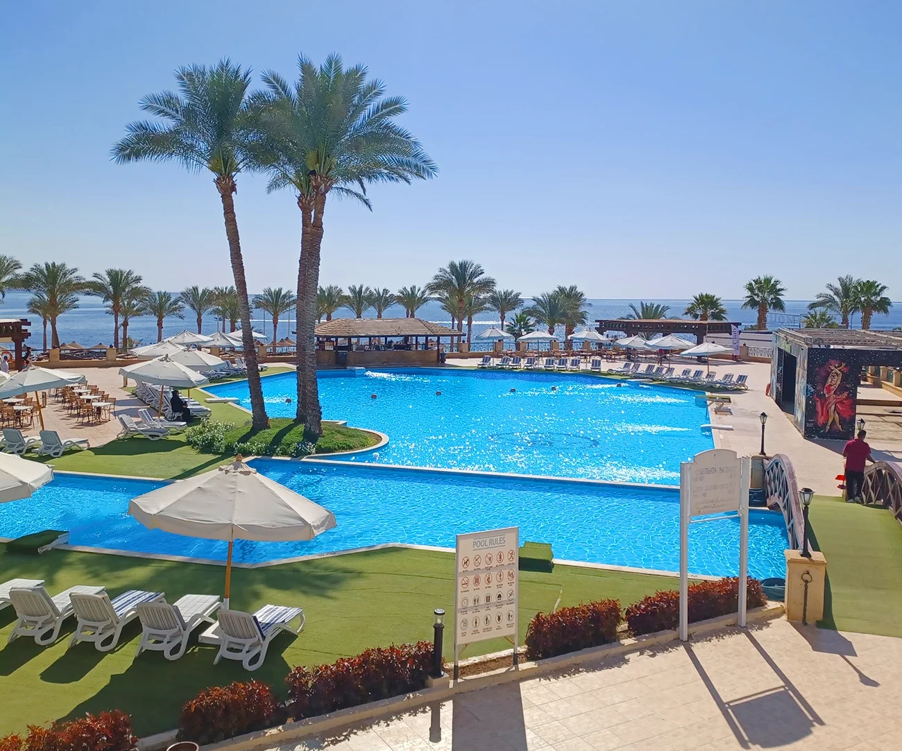 queen-sharm-2