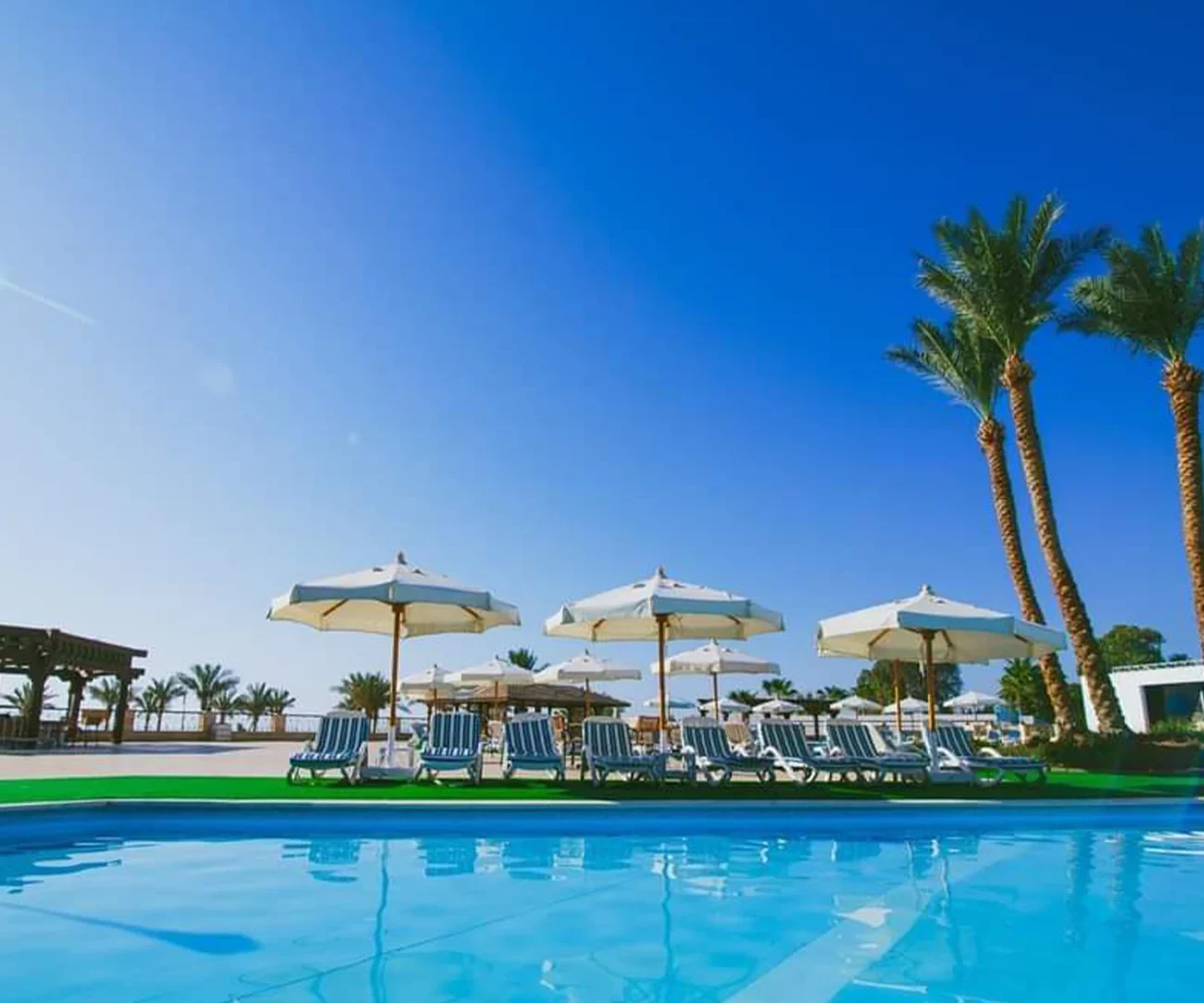 queen-sharm-5